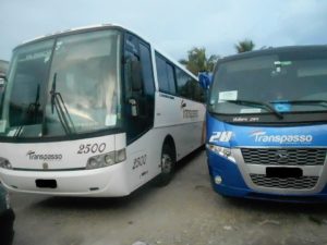 1506621_1553372348254505_1440032059257690086_n